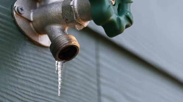 Best Shower Repair Services  in Inniswold, LA